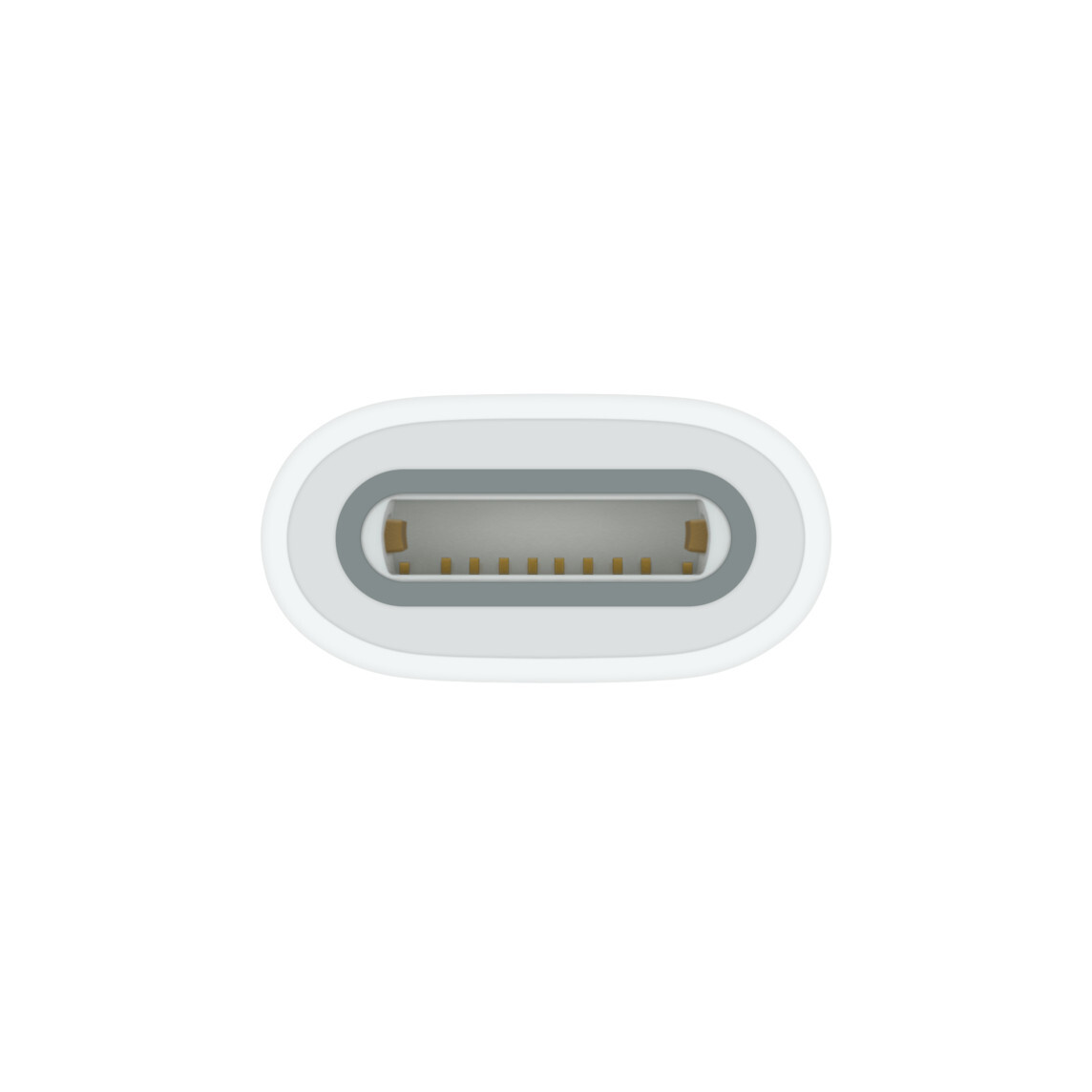 Apple-USB-C-auf-Apple-Pencil-Adapter