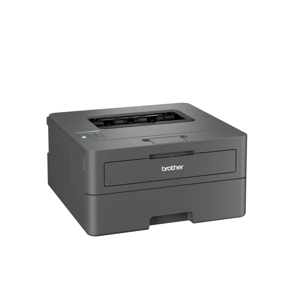 brother-hl-l2400dwe-laserdrucker-s-w-mit-duplex-druck-wlan-4-gratis-monaten-ecopro