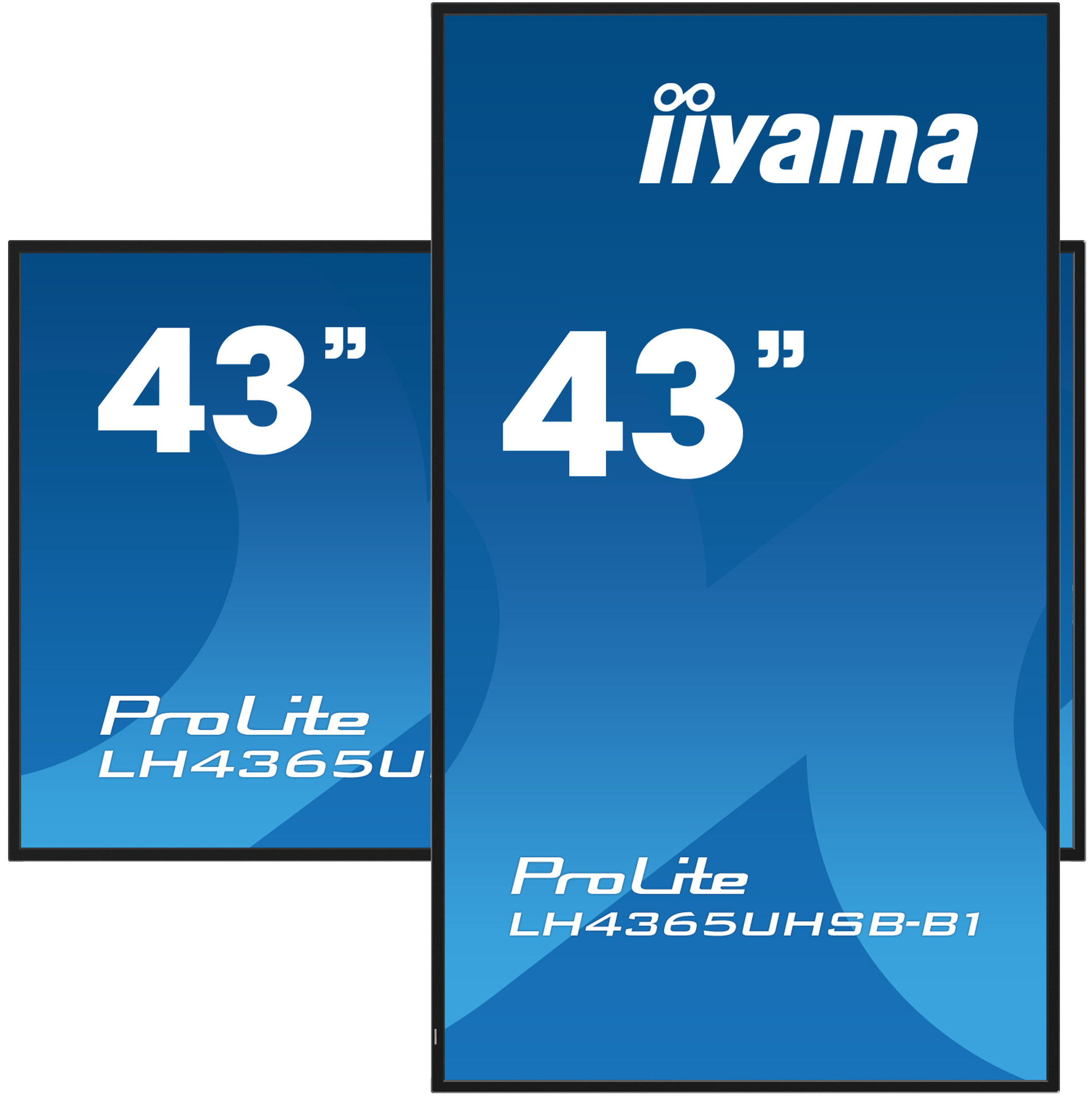 iiyama-PROLITE-LH4365UHSB-B1