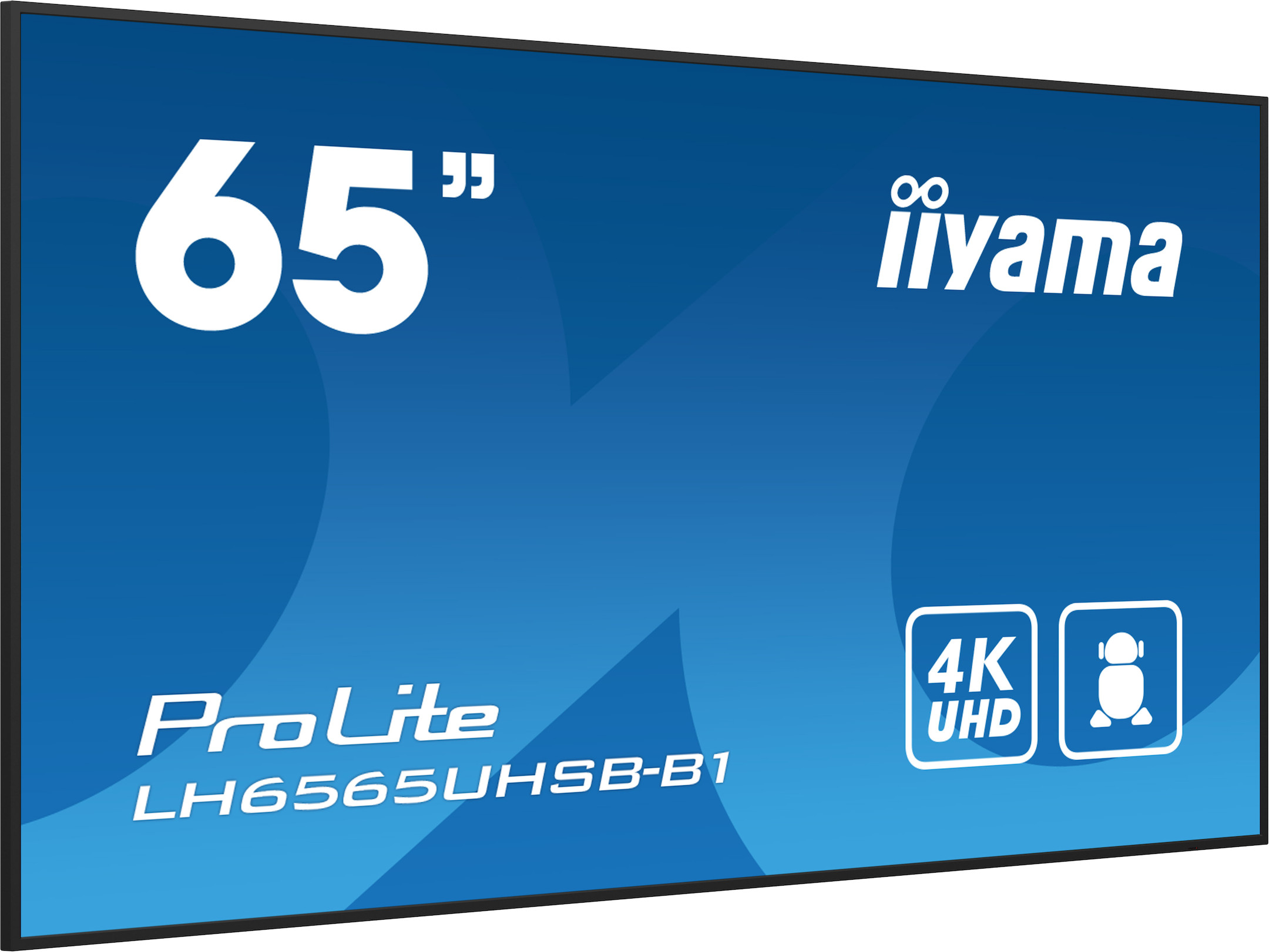 iiyama-PROLITE-LH6565UHSB-B1