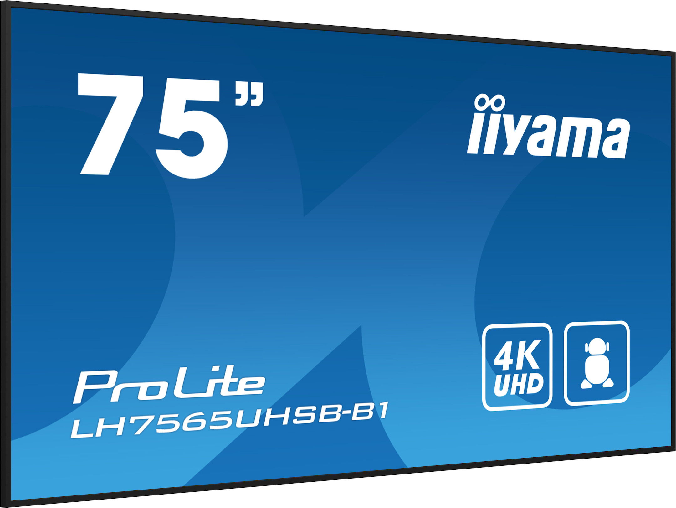 iiyama-PROLITE-LH7565UHSB-B1