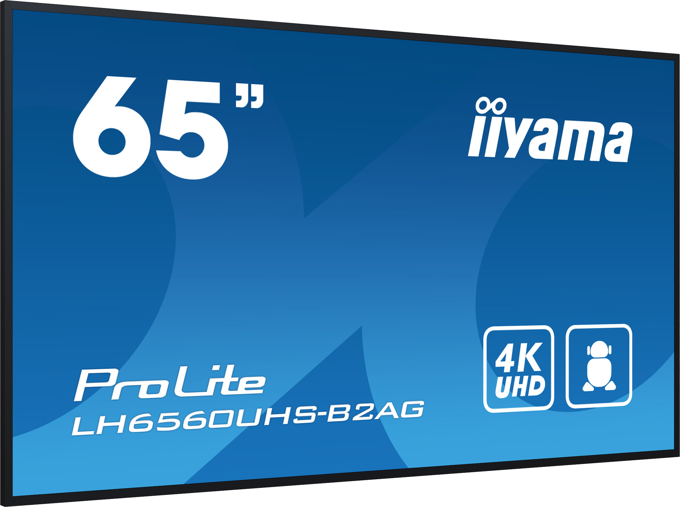 iiyama-ProLite-LH6564UHS-B2AG-65-Display