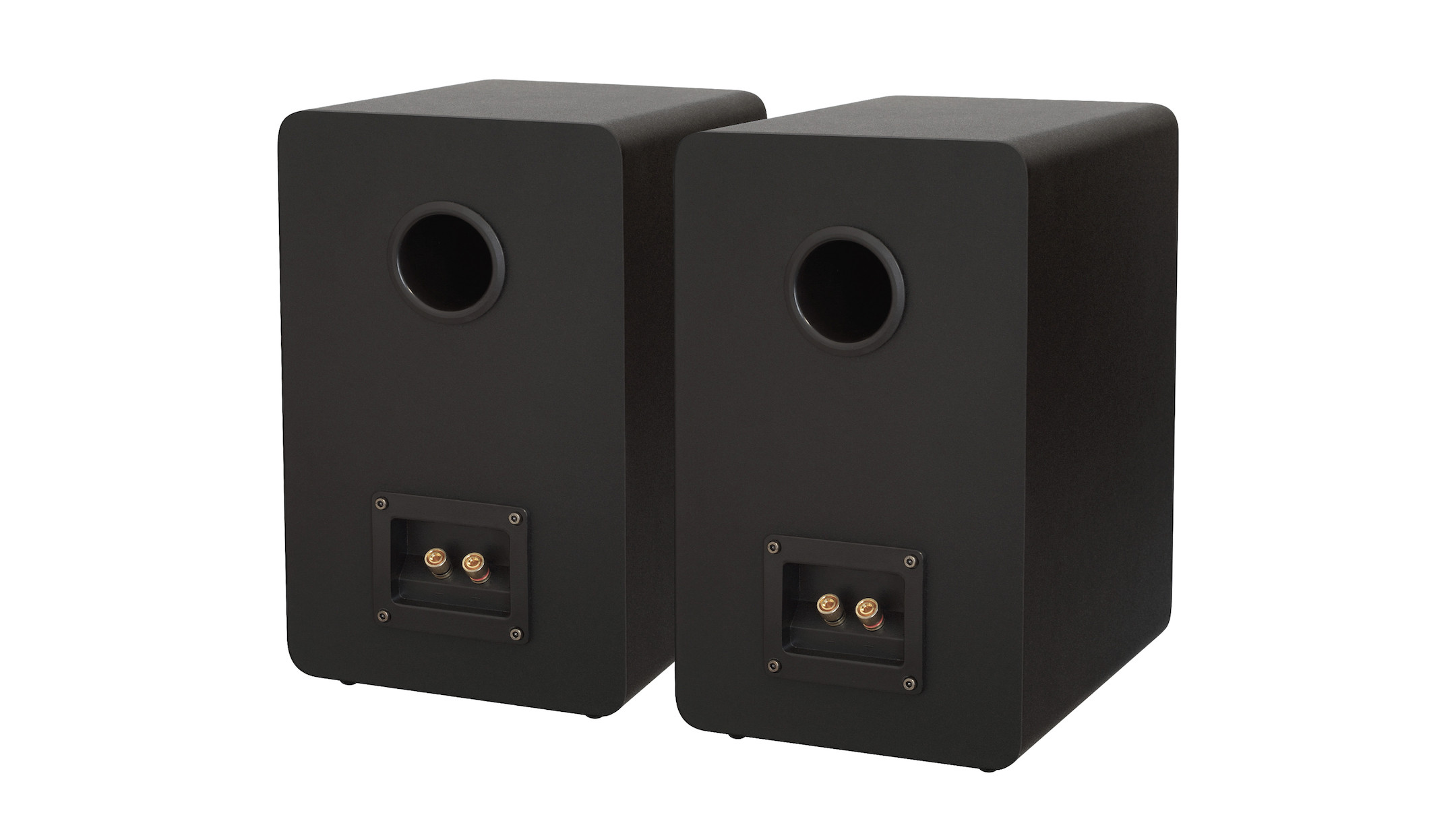 Block-S-250-2-Wege-Lautsprecherbox-in-Schwarz-Paar