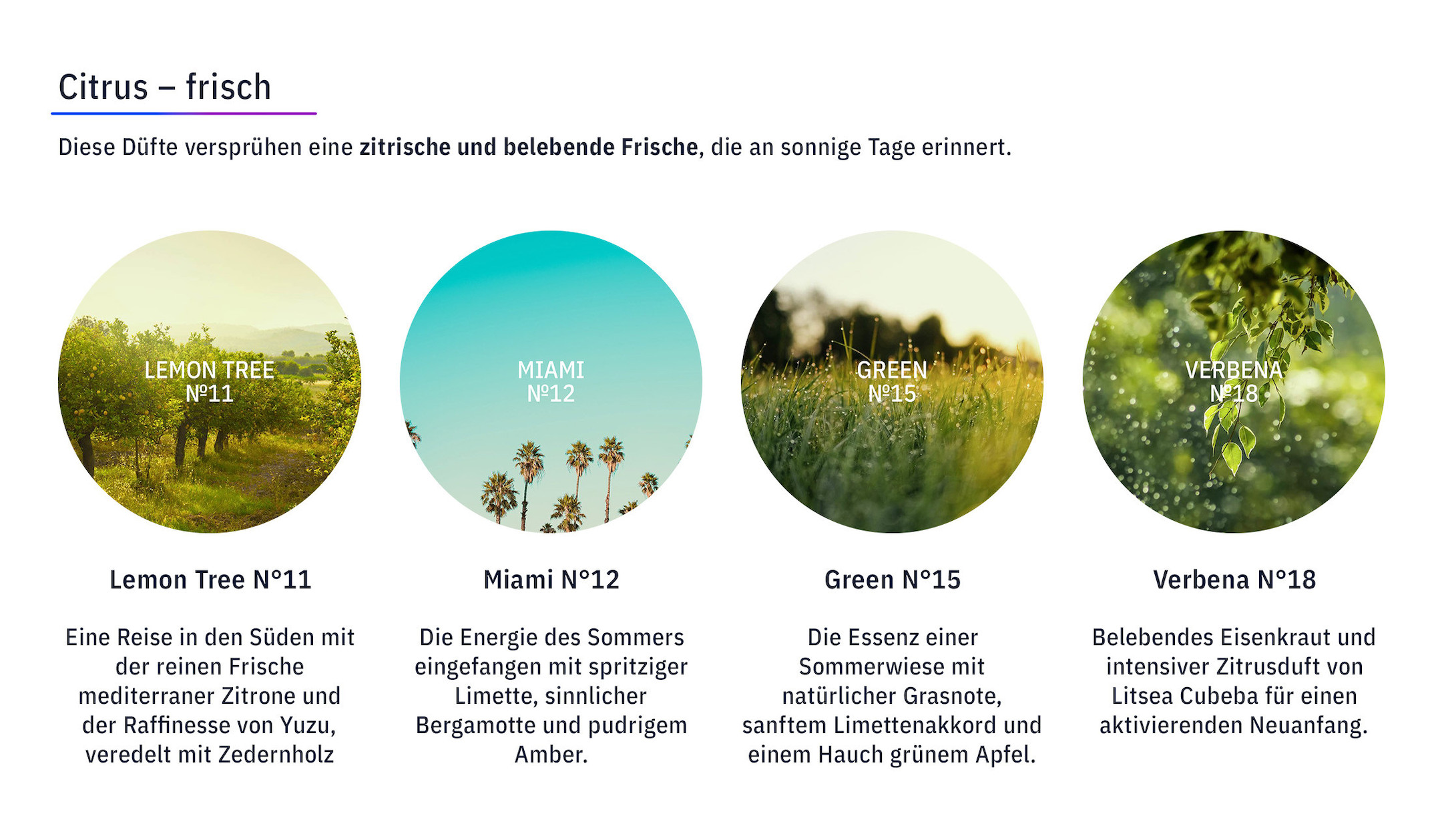 KUKUI-Stick-Diffusor-Medium-250-ml-Weekend-N-68