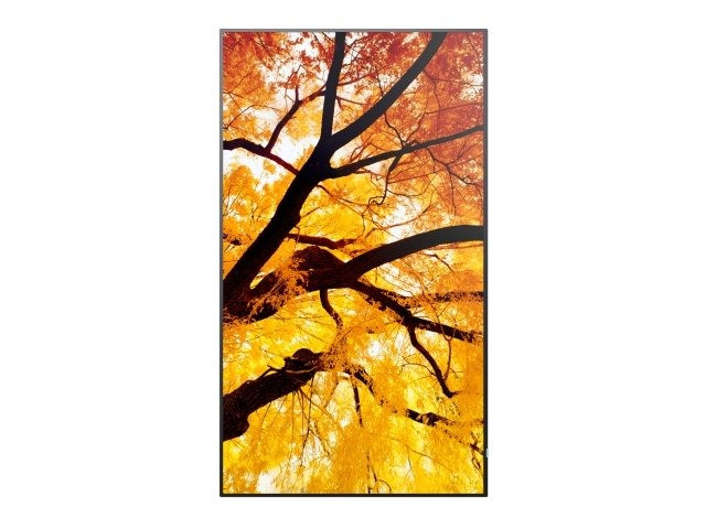 Sharp-MultiSync-M552-LCD-55-grootformaat-display-voor-berichten