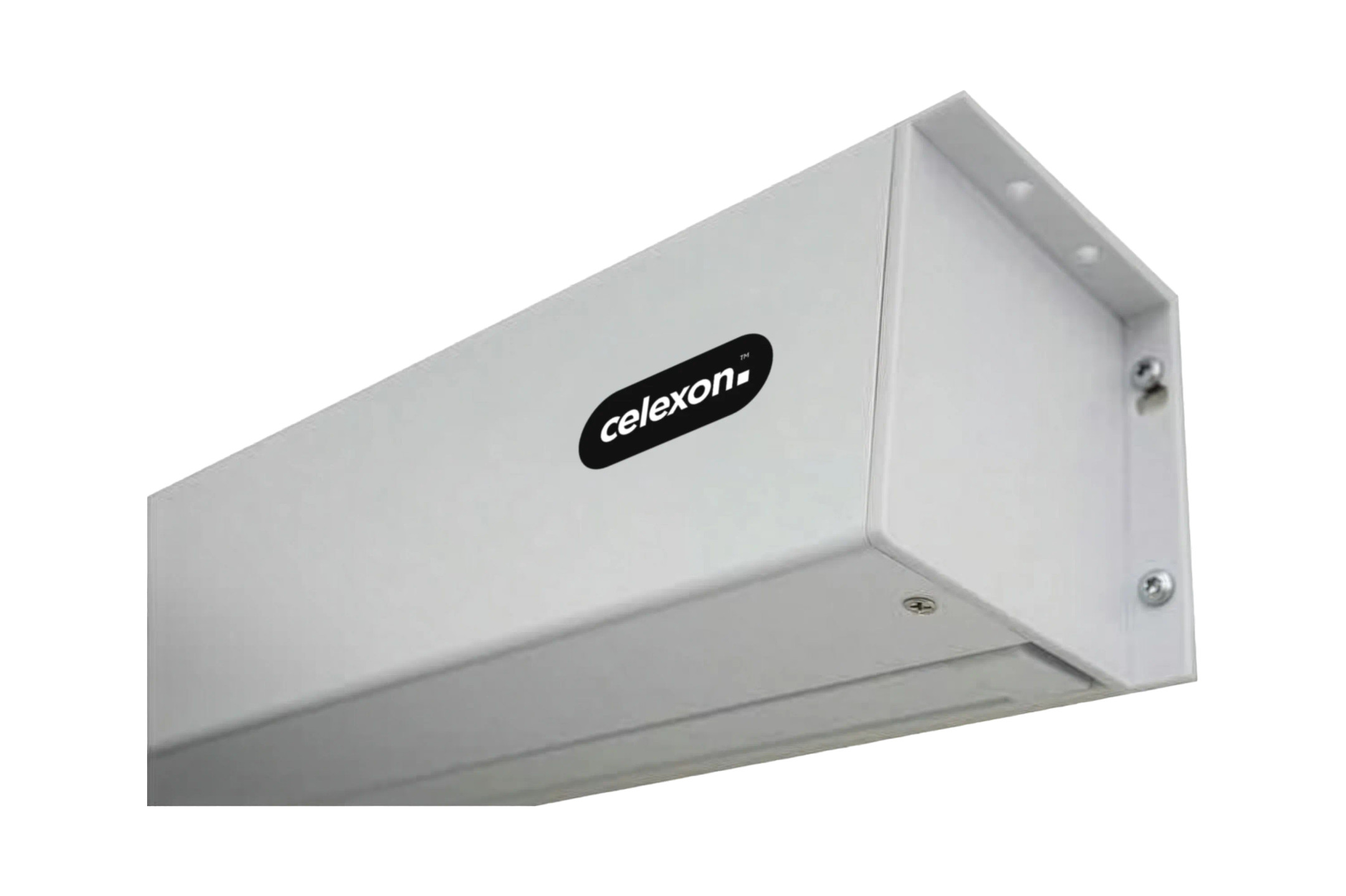 celexon-elektrisch-projectiescherm-op-accu-Professional-Plus-met-Tab-Tension-Pearlstone-135