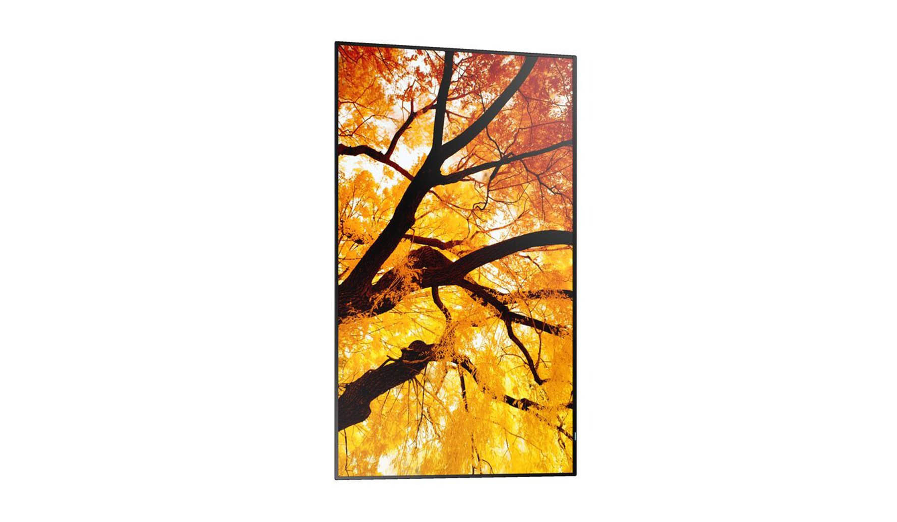 Sharp-MultiSync-M652-65-4K-UHD-Large-Format-Display