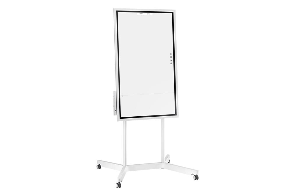 Samsung-Flip-55-Inch-Bundle-met-rolwagen