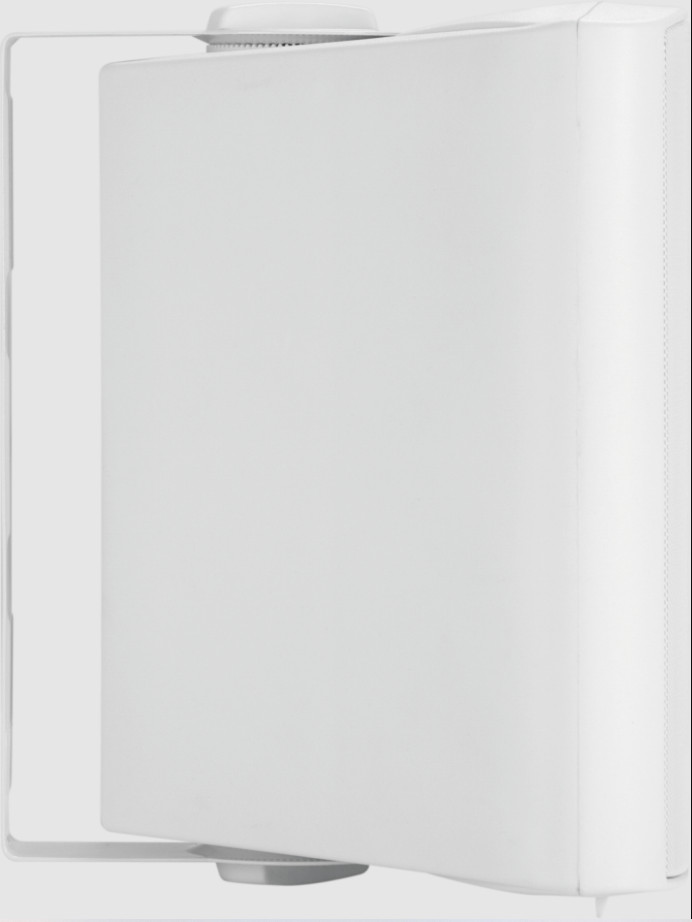 Vision-SP-1900P-professionelle-5-25-Zoll-Wandaktivlautsprecher