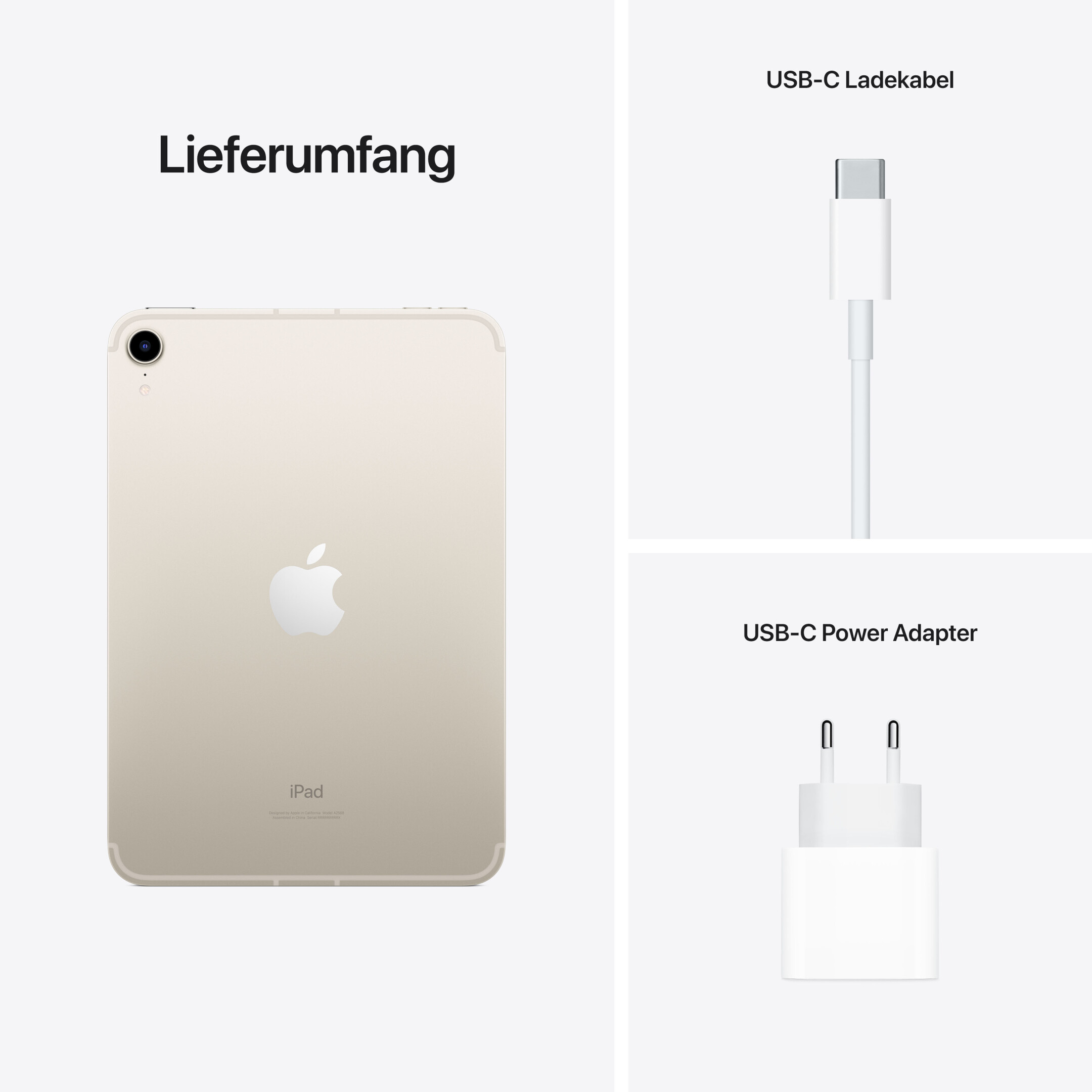 Apple-iPad-mini-8-3-WiFi-Cellular-64-GB-Polarstern-6-Generation-2021