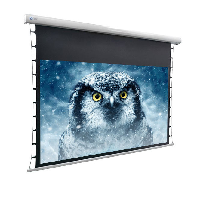 DELUXX-Cinema-Hochkontrastleinwand-Tension-354-x-199cm-160-DARKVISION-Demoware