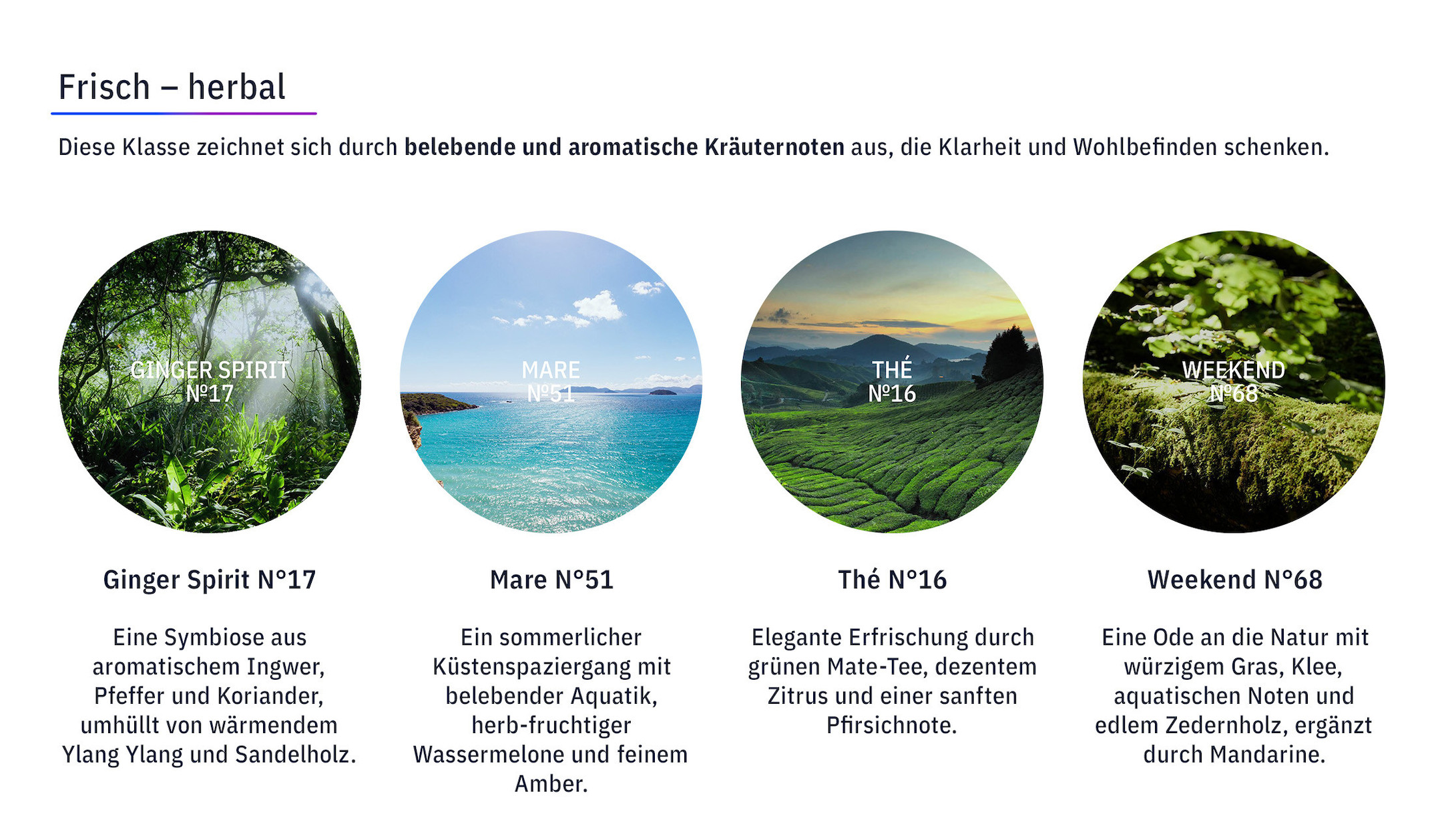 KUKUI-Stick-Diffusor-Medium-250-ml-Verbena-N-18