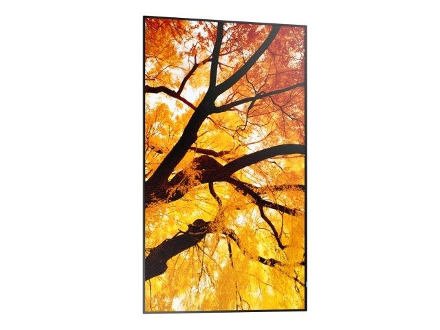 Sharp-MultiSync-M552-LCD-55-grootformaat-display-voor-berichten