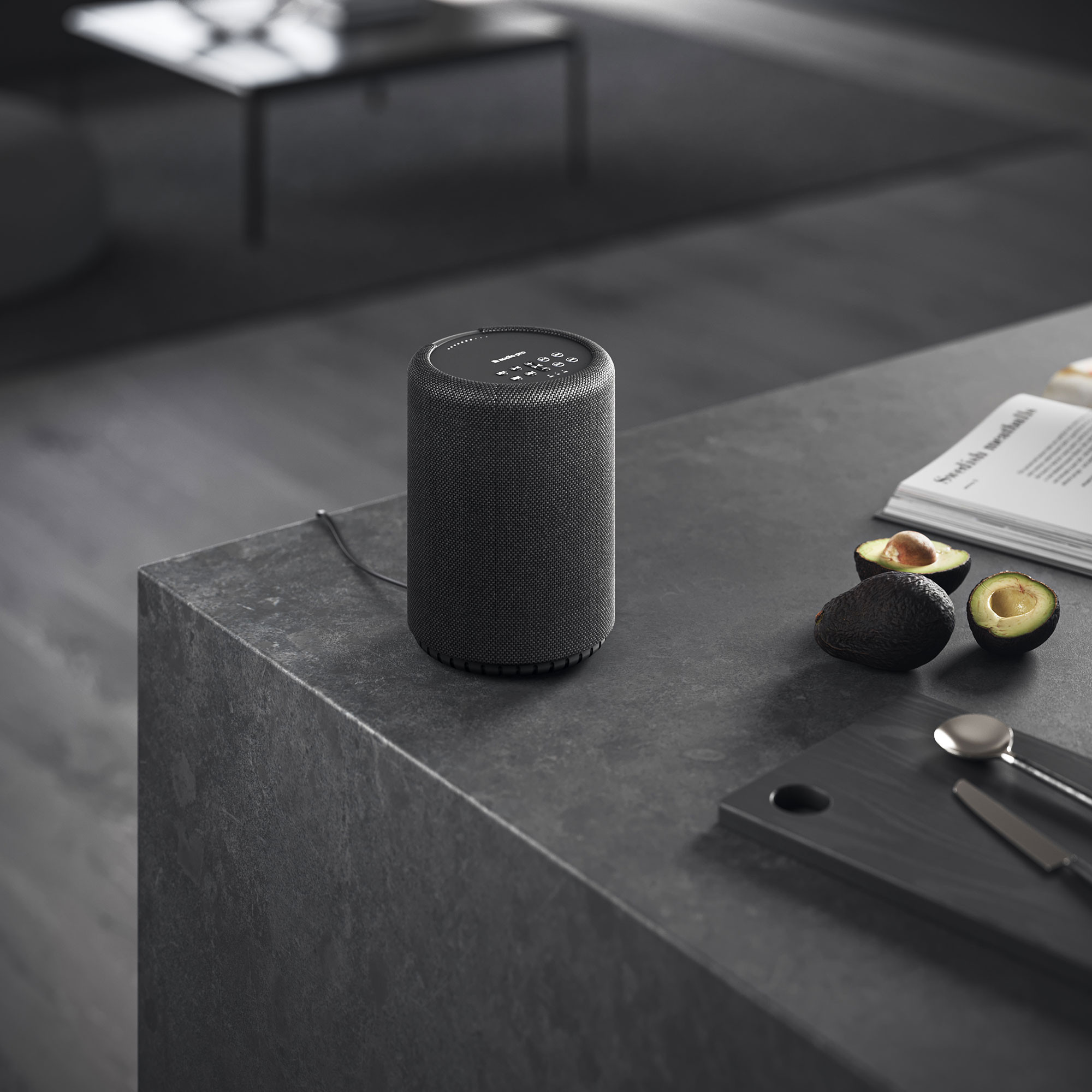 Audio-Pro-A10-MkII-W-Smarter-Multiroom-Lautsprecher-in-Schwarz
