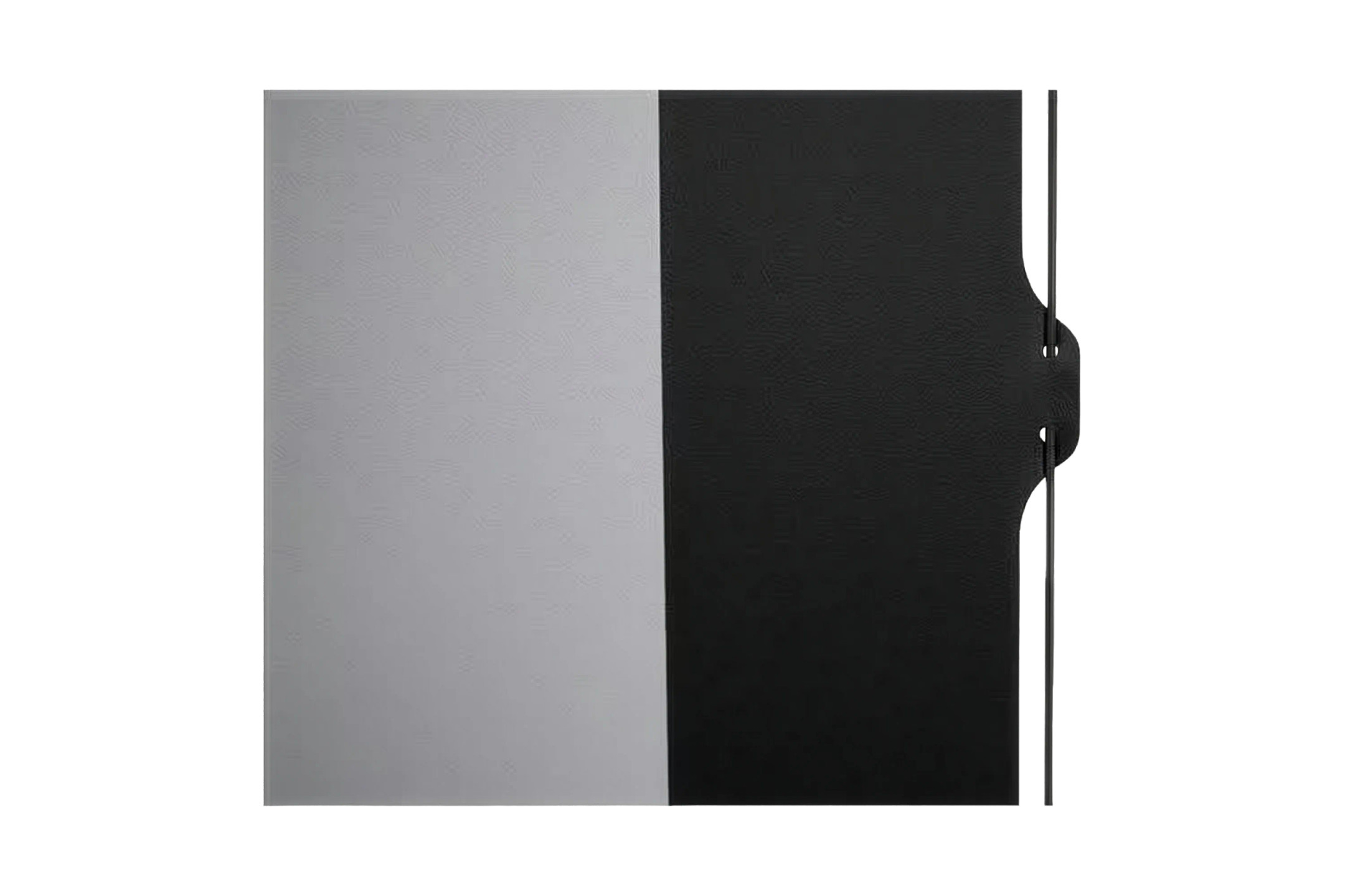 celexon-elektrisch-projectiescherm-op-accu-Professional-Plus-met-Tab-Tension-Pearlstone-135