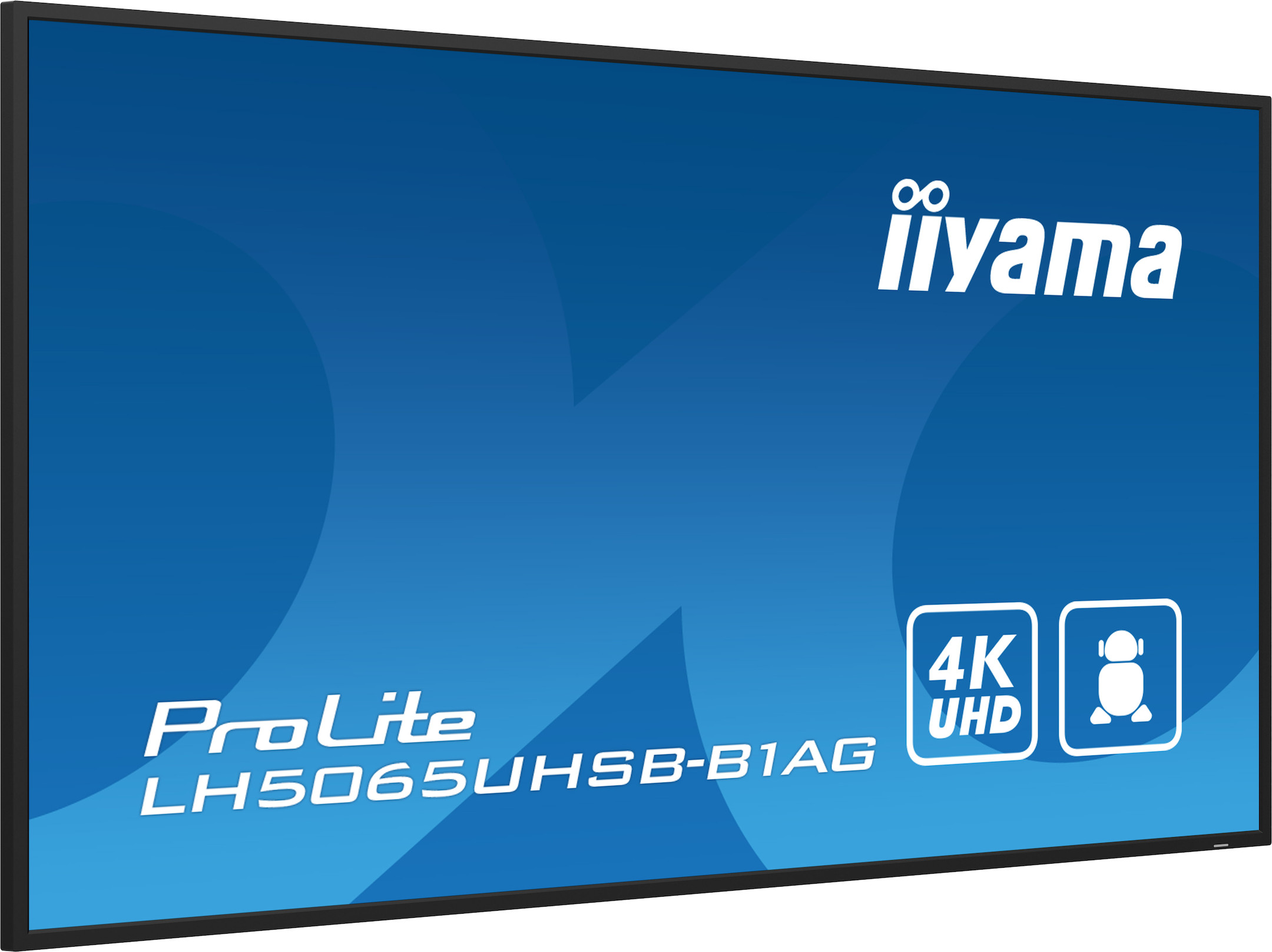 iiyama-PROLITE-LH5065UHSB-B1AG