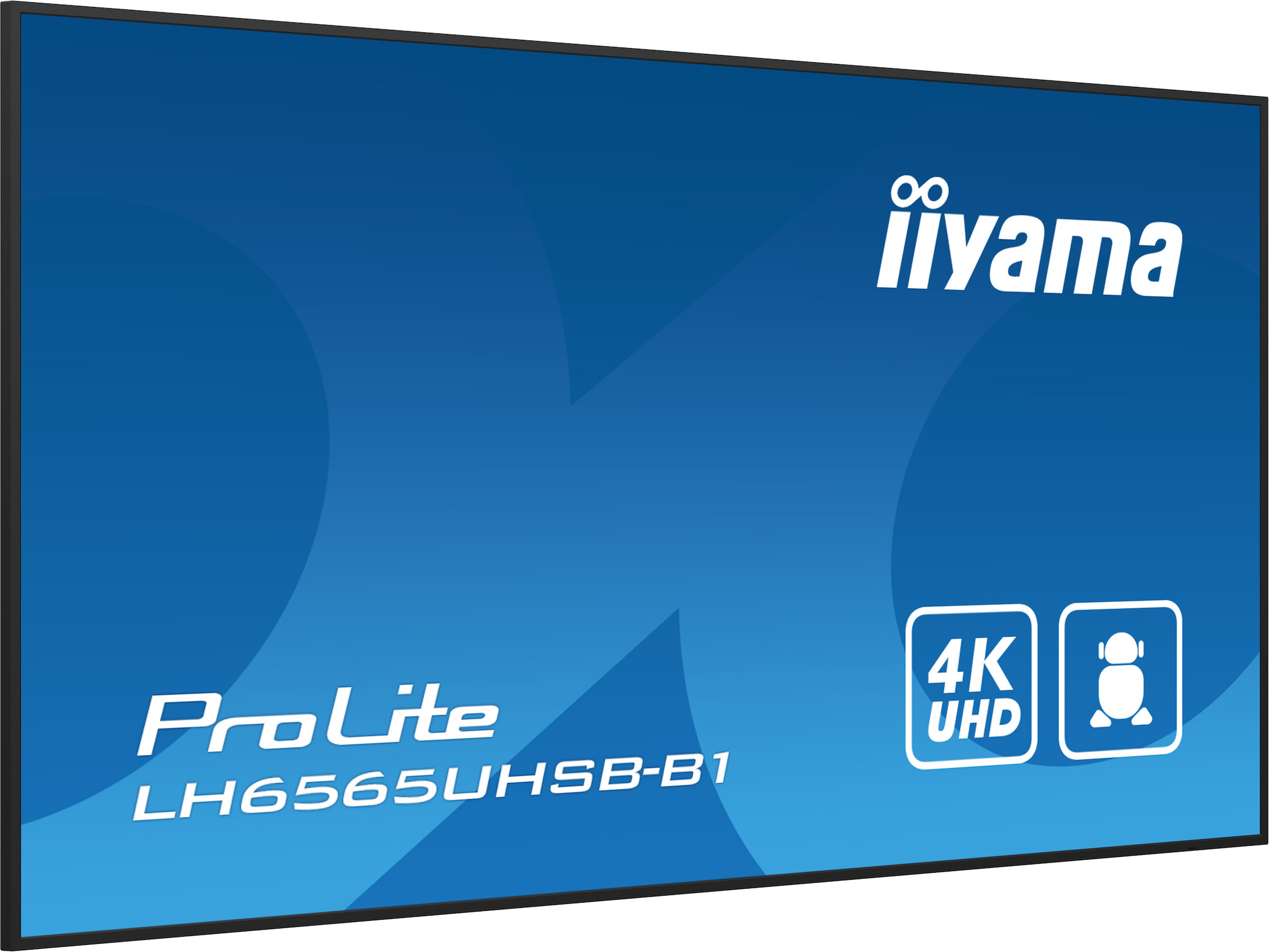 iiyama-PROLITE-LH6565UHSB-B1