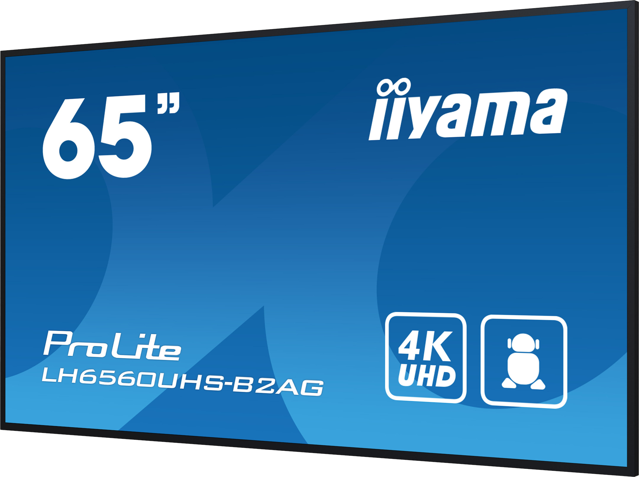 iiyama-ProLite-LH6564UHS-B2AG-65-Display