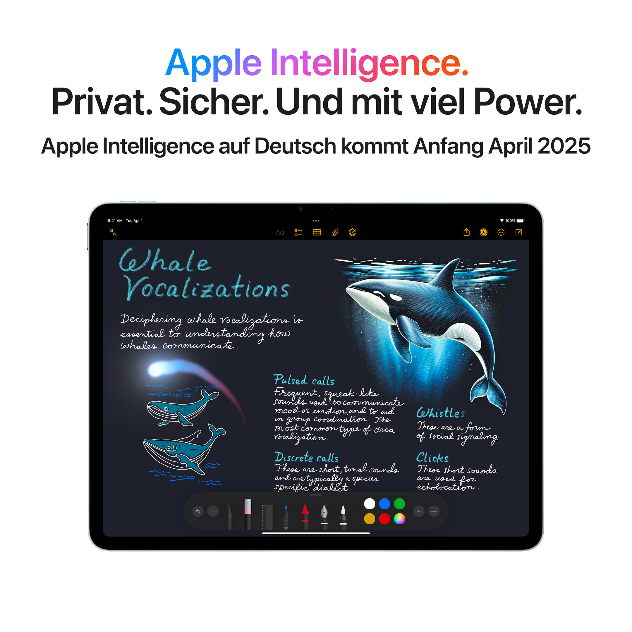 Apple-13-iPad-Air-mit-Wi-Fi-Cellular-und-1TB-in-Space-Grau