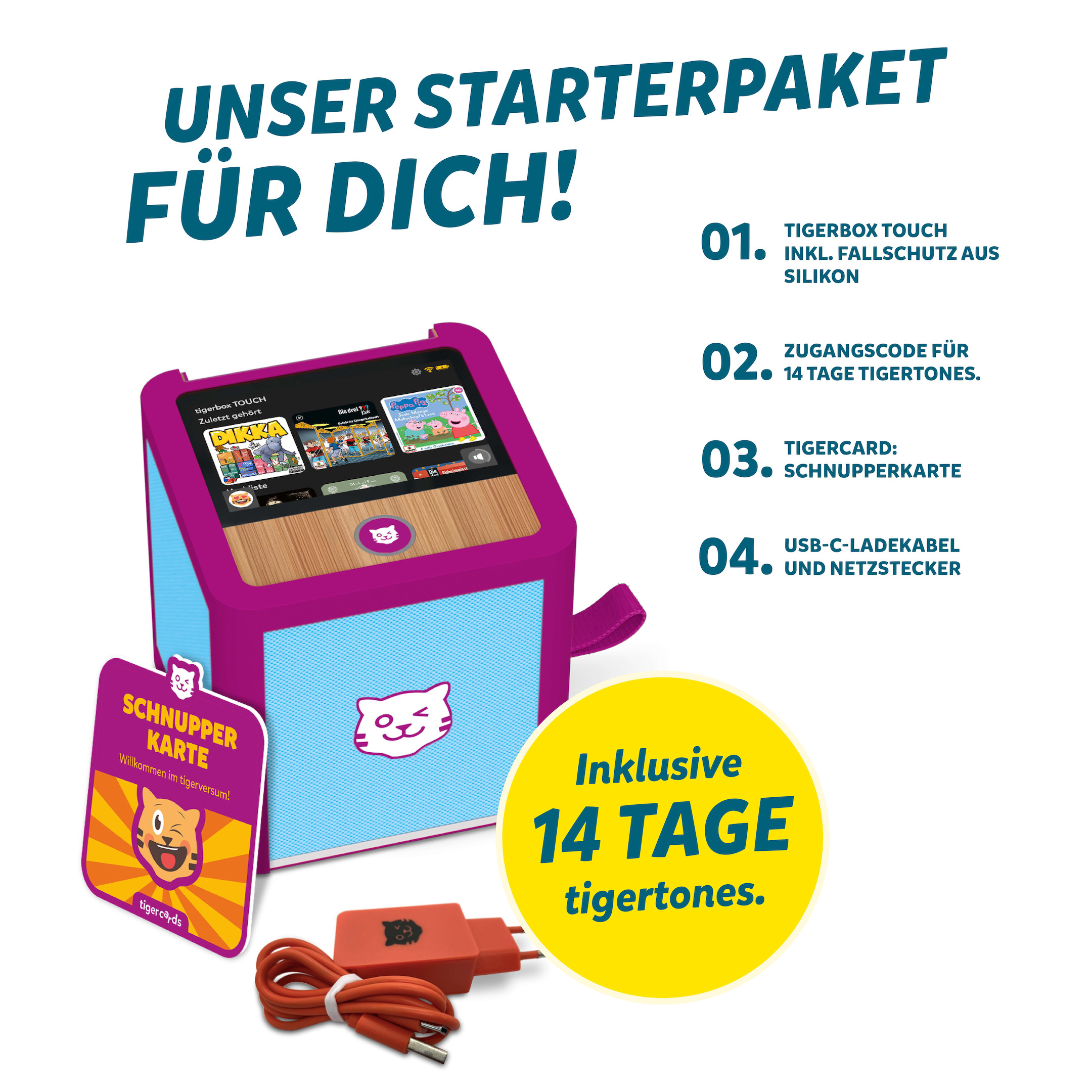 tiger-media-tigerbox-touch-plus-in-miami-sky