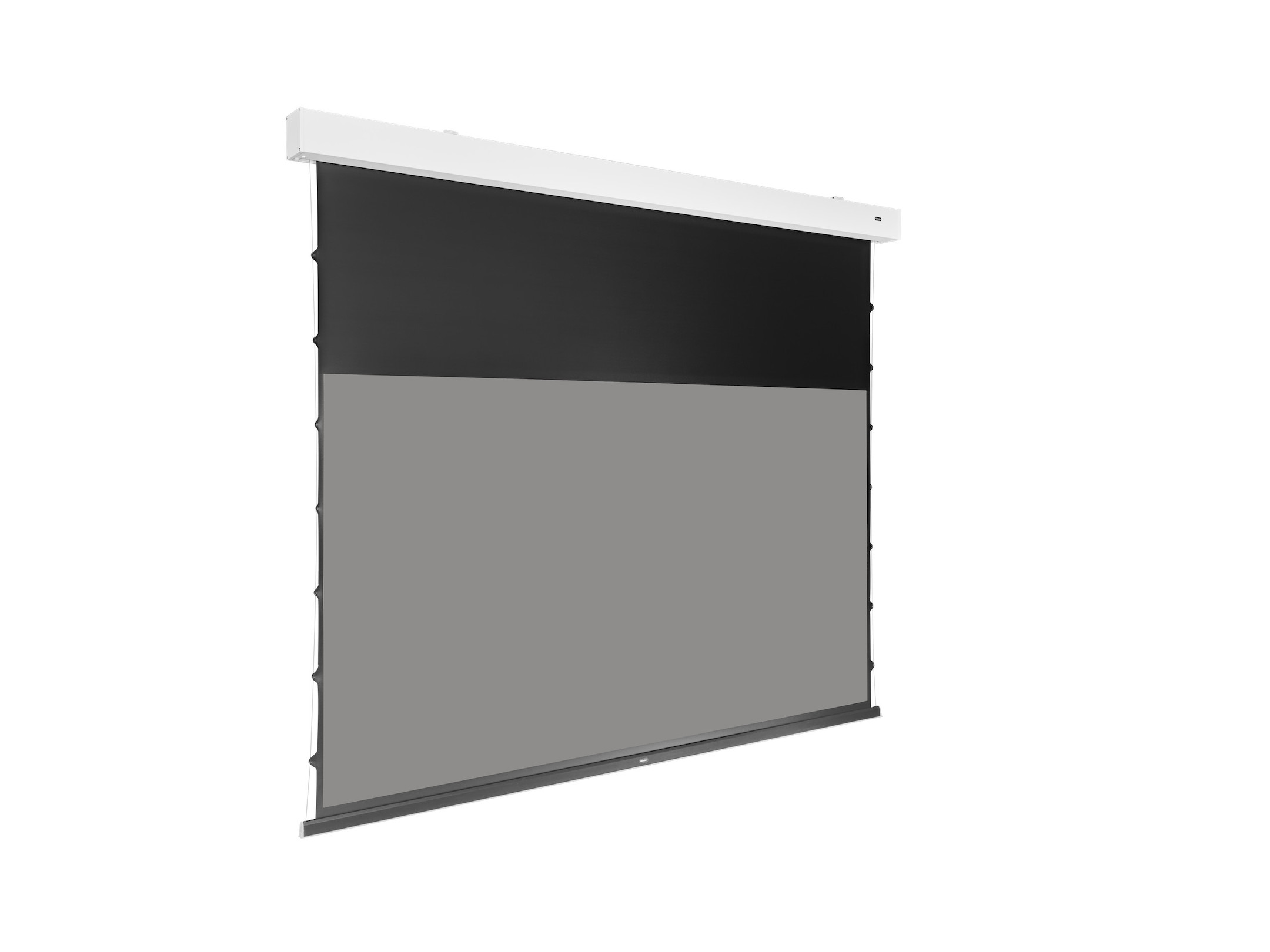 celexon-DARKVISION-ALR-Premium-Plus-elektrisch-projectiescherm-met-Tab-Tension-221-x-124-cm-100