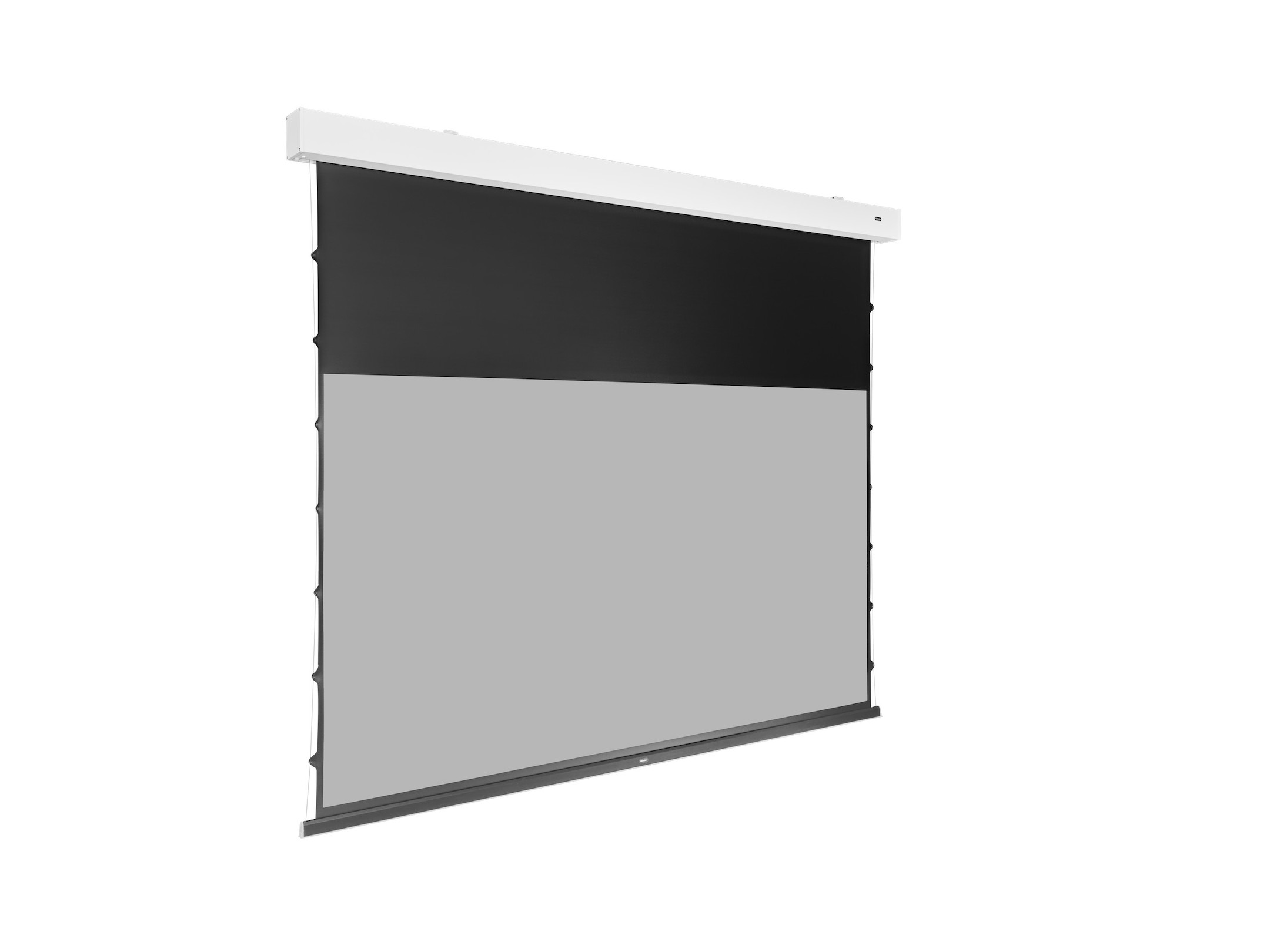 celexon-GREYVISION-Premium-Plus-elektrisch-projectiescherm-met-Tab-Tension-265-x-149-cm-120