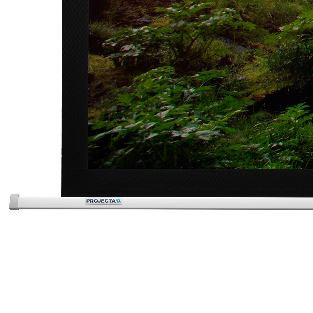 Projecta-Descender-Electrol-16-9-200-x-117-cm-mattweiss