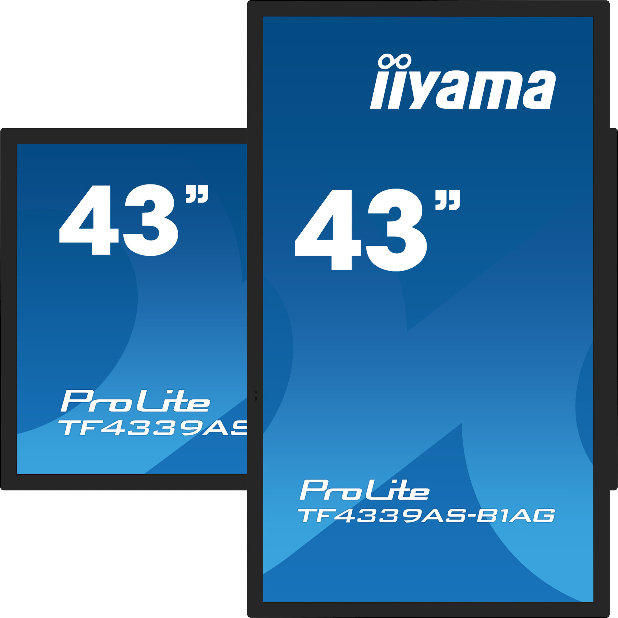 iiyama-PROLITE-TF4339AS-B1AG