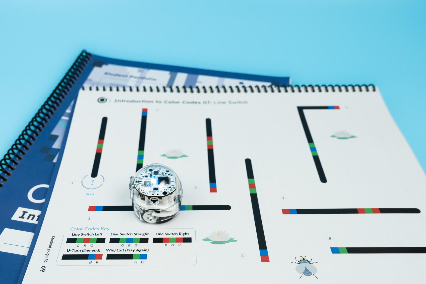 ozobot-bit-entry-kit-mit-einem-roboter