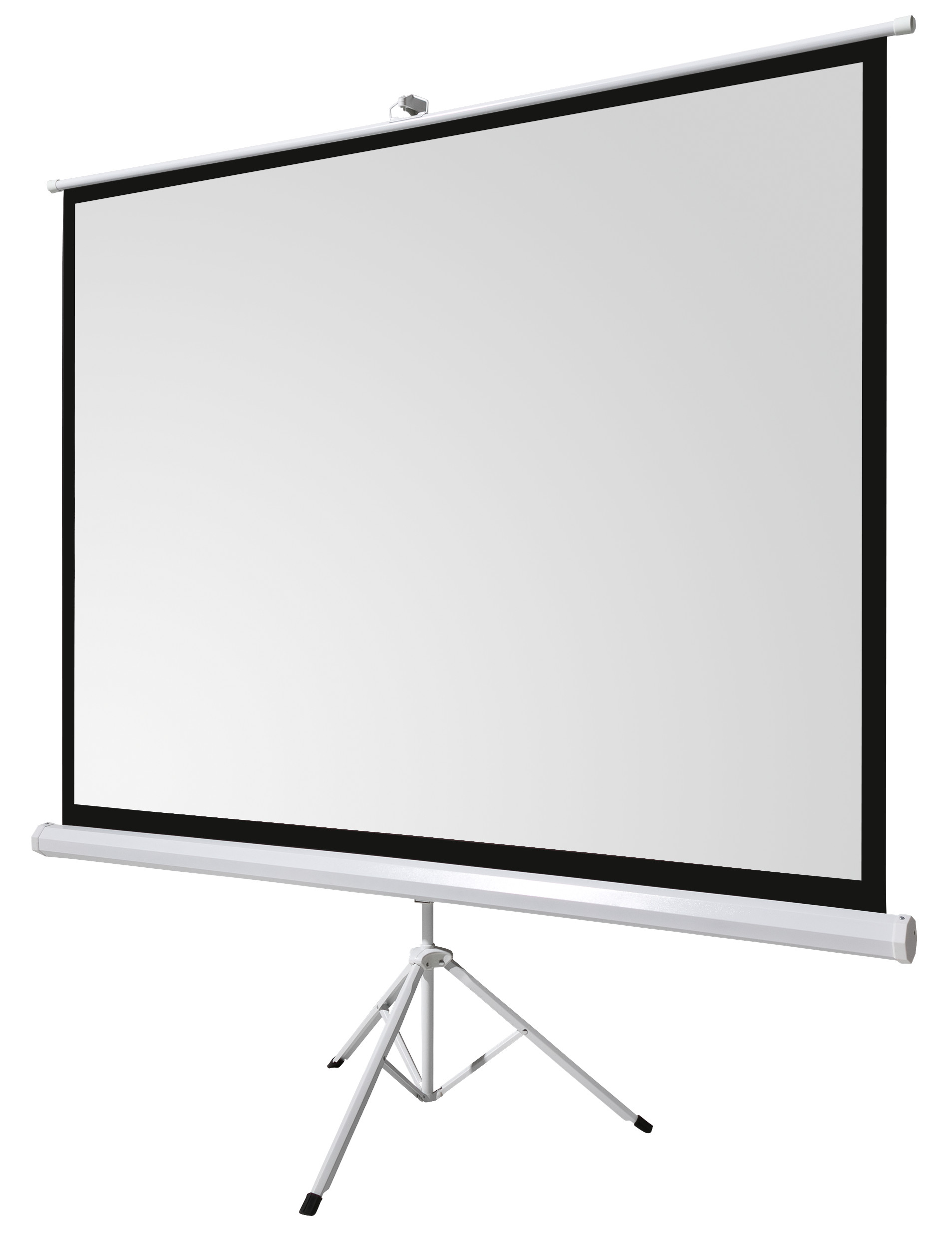 celexon-basic-Stativ-Leinwand-110-200x200-cm-1-1-mobile-transportable-4K-Full-HD-Leinwand-Beamerleinwand-mit-Stativ-fur-Heimkino-und-Buroprasentationen-Blitzschneller-Aufbau-in-3-Schritten