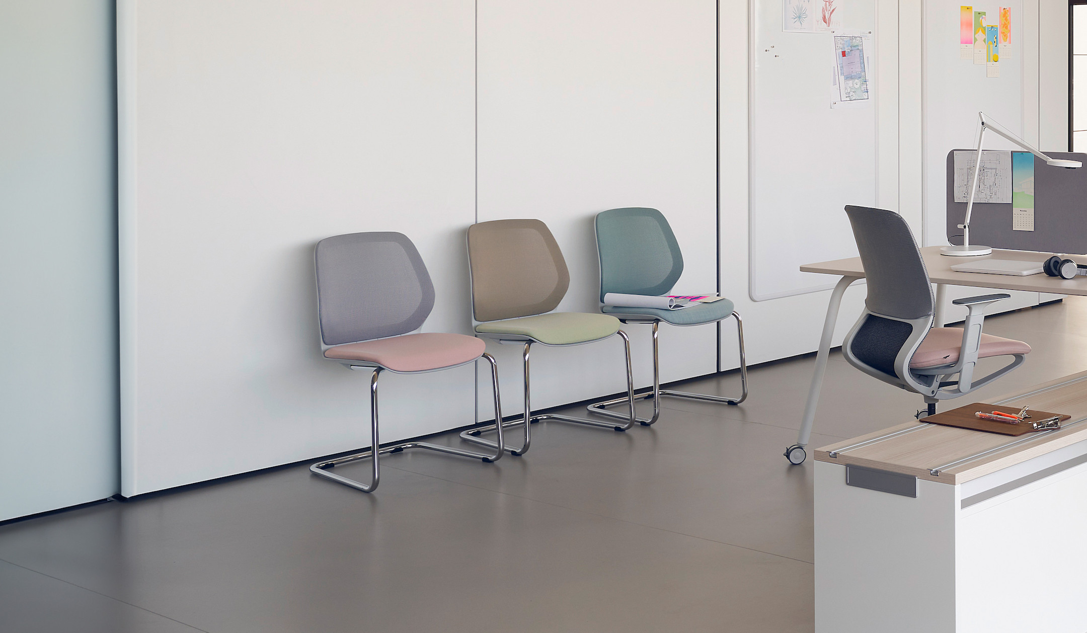 Sedus-se-flex-Besucherstuhl-Freischwinger-mit-Lordosenstutze-und-anatomischem-Sitz-fur-Gaste