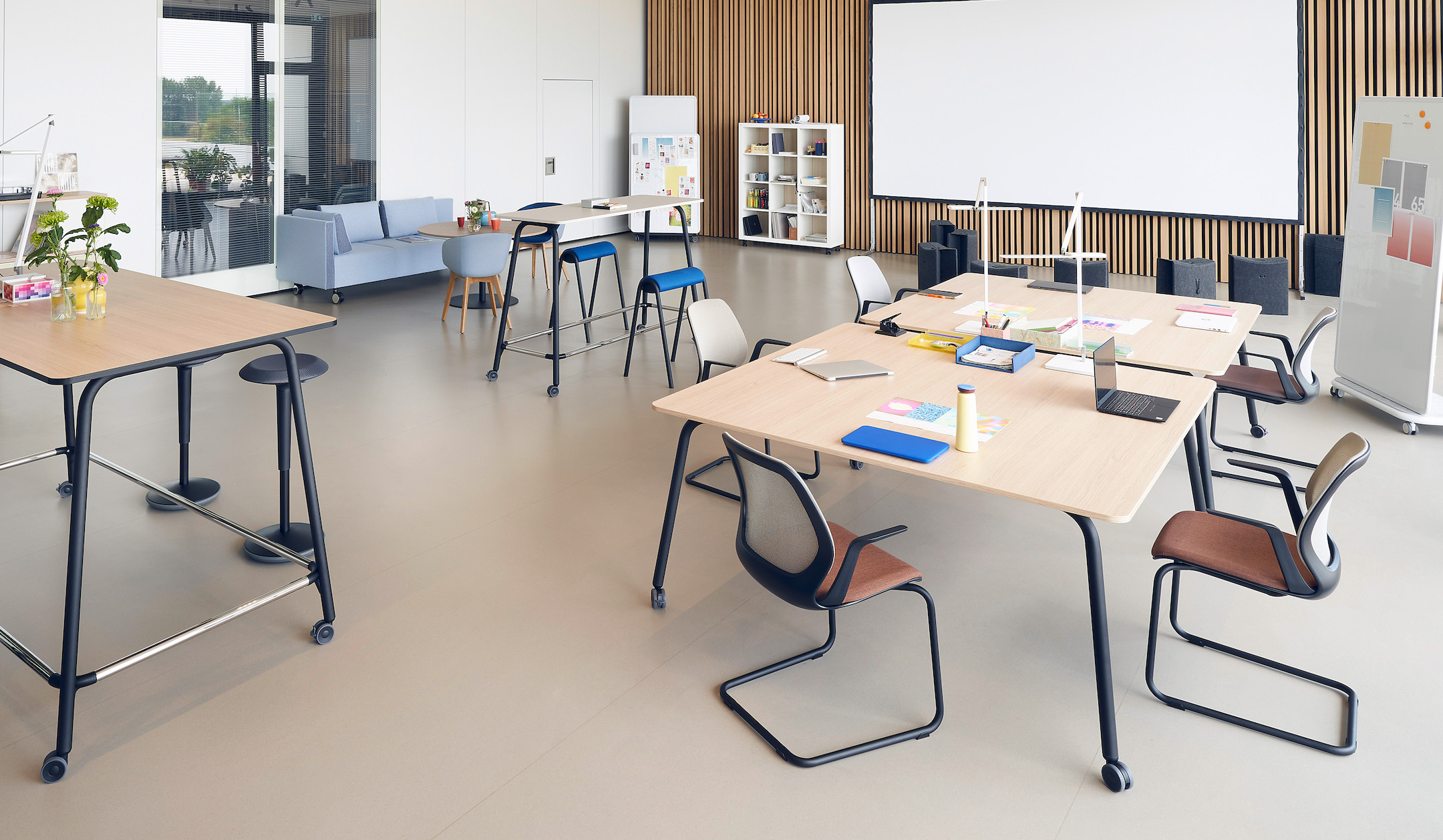 Sedus-se-flex-Besucherstuhl-Freischwinger-mit-Lordosenstutze-und-anatomischem-Sitz-fur-Gaste