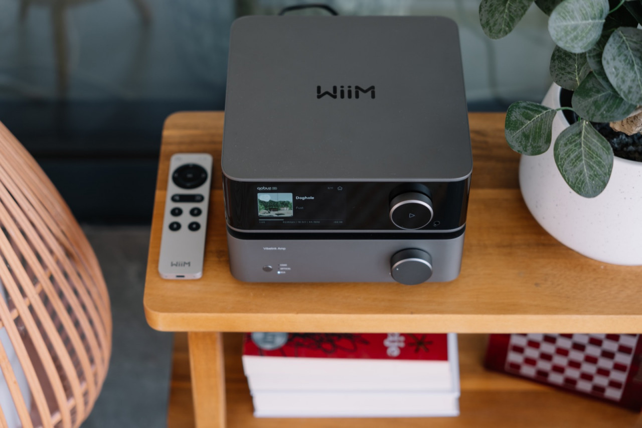 WiiM-Vibelink-Amp-Verstarker-Demoware